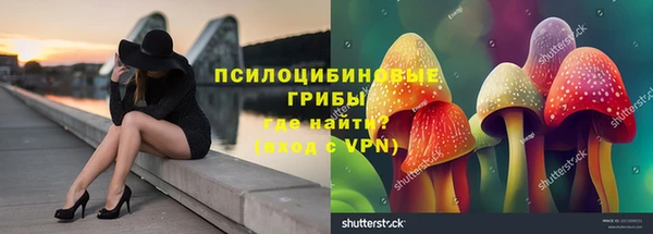 spice Елабуга