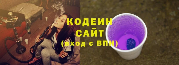 СК Елизово