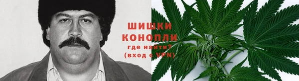СК Елизово