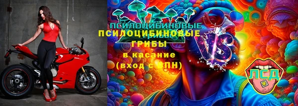 spice Елабуга