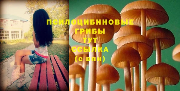СК Елизово