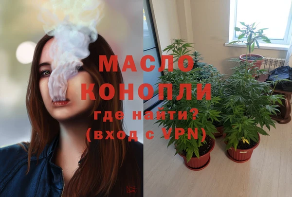 СК Елизово