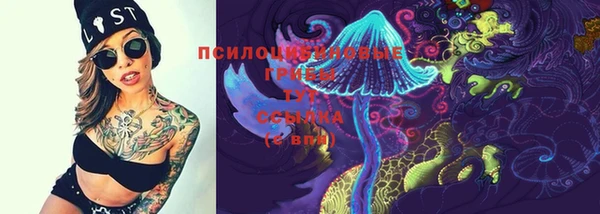 СК Елизово