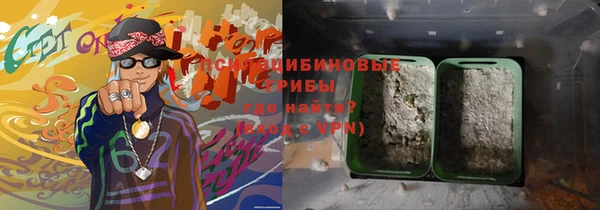 СК Елизово