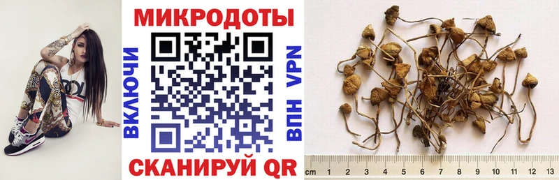 купить наркотики цена  Пущино  mega маркетплейс  Псилоцибиновые грибы прущие грибы 