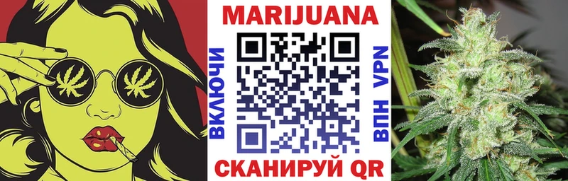 Конопля гибрид  Пущино 